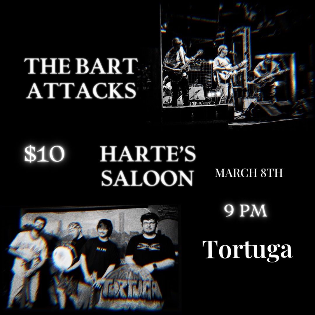 The Bart Attacks & Tortuga