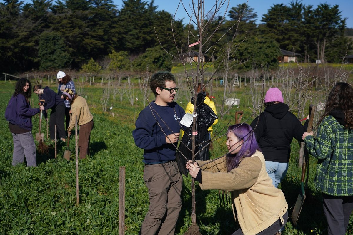 Intro to Fruit Trees Workshop