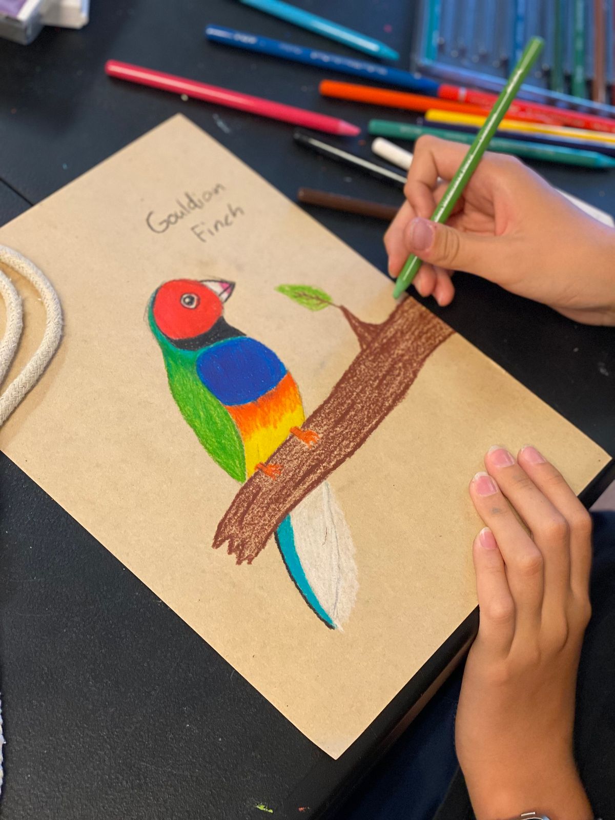 Children's Art Classes - Darwin