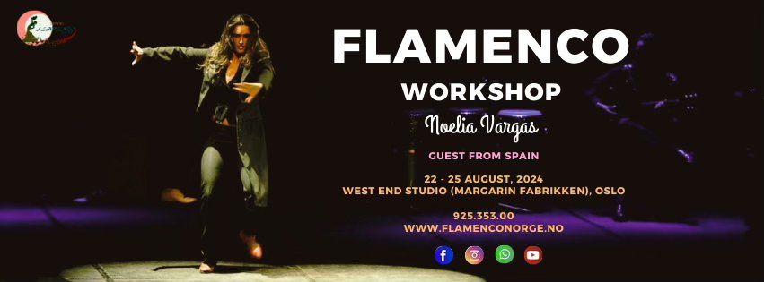 Summer Flamenco Workshop