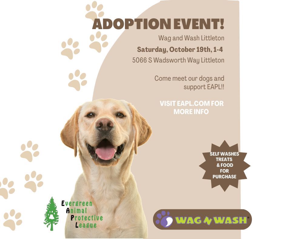 Adoption Event!!