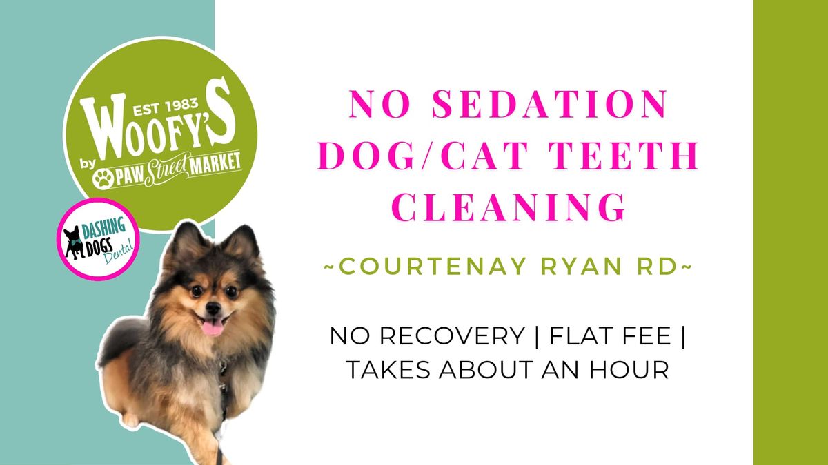 Dog\/Cat Teeth Cleaning - Courtenay Ryan Rd