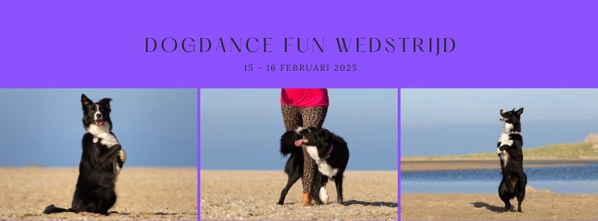 FUN Dogdance wedstrijd