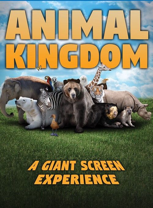  Sensory Friendly Family Movie Night: Animal Kingdom 2D