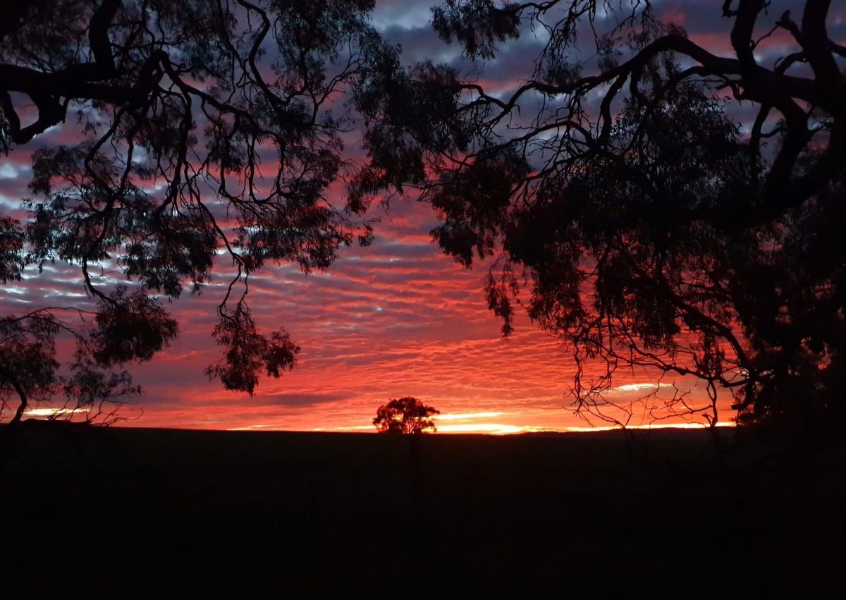 Christmas Sunrise Walk - Riverton