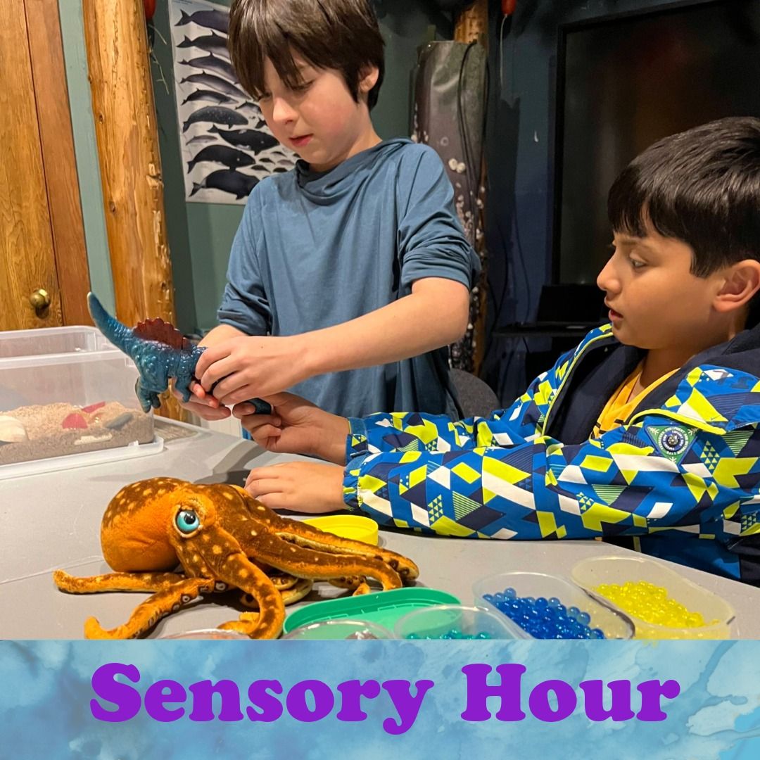 Sensory Hour at the Estuarium