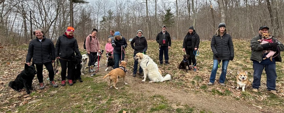 TAO DOG\u00ae Adventure Hike: Addison Bog Walk, Glastonbury CT