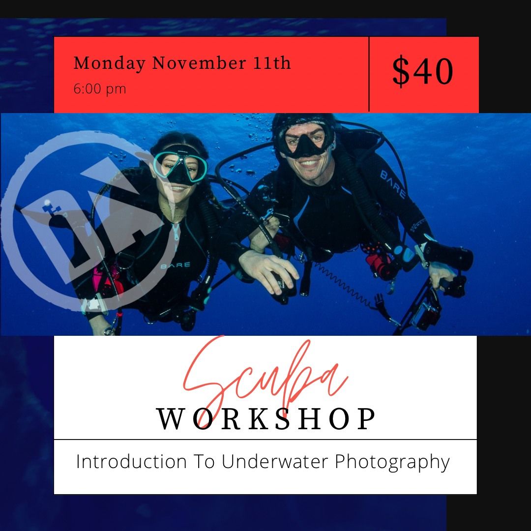 Underwater Photography Clinic-Expand Your Diving Skills