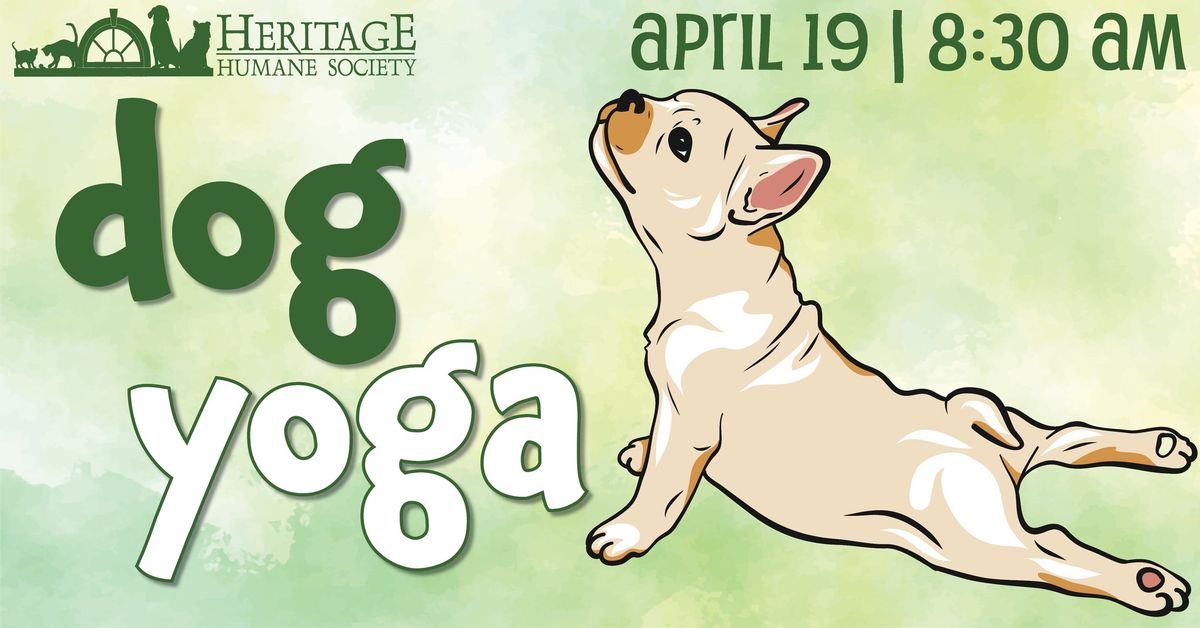 Dog Yoga