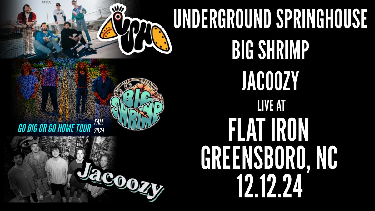 Underground Springhouse \/ Big Shrimp \/ Jacoozy at Flat Iron