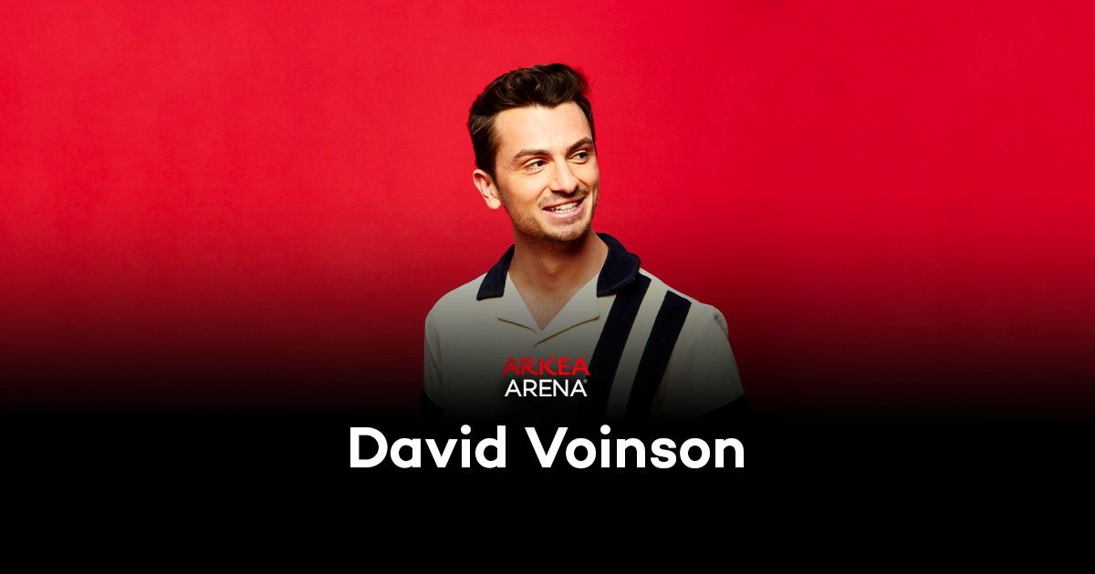 David Voinson - En Spectacle