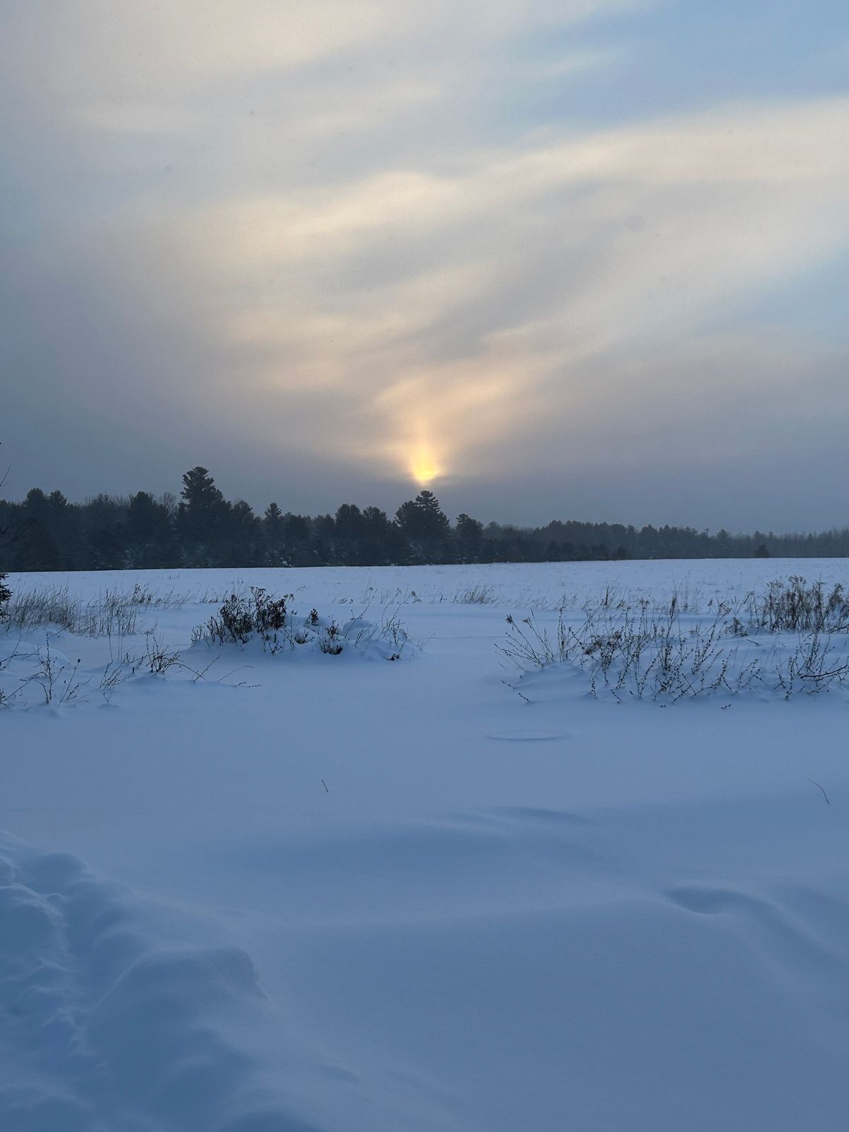 Winter Solstice Yoga