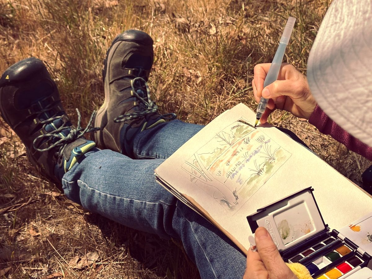 Journal in the Field - with Ami, Mulligans Flat Reserve, ACT