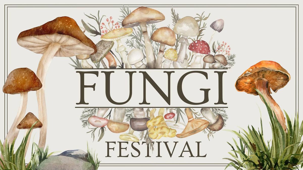 Fungi Festival 