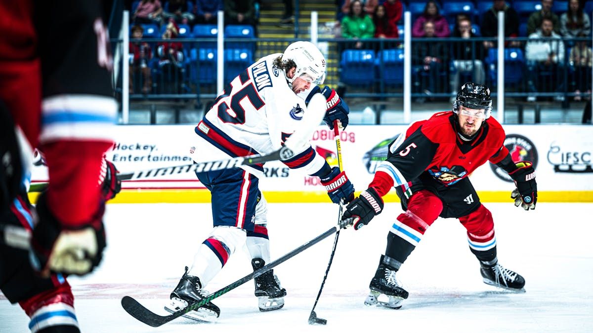 Kalamazoo Wings at Bloomington Bison