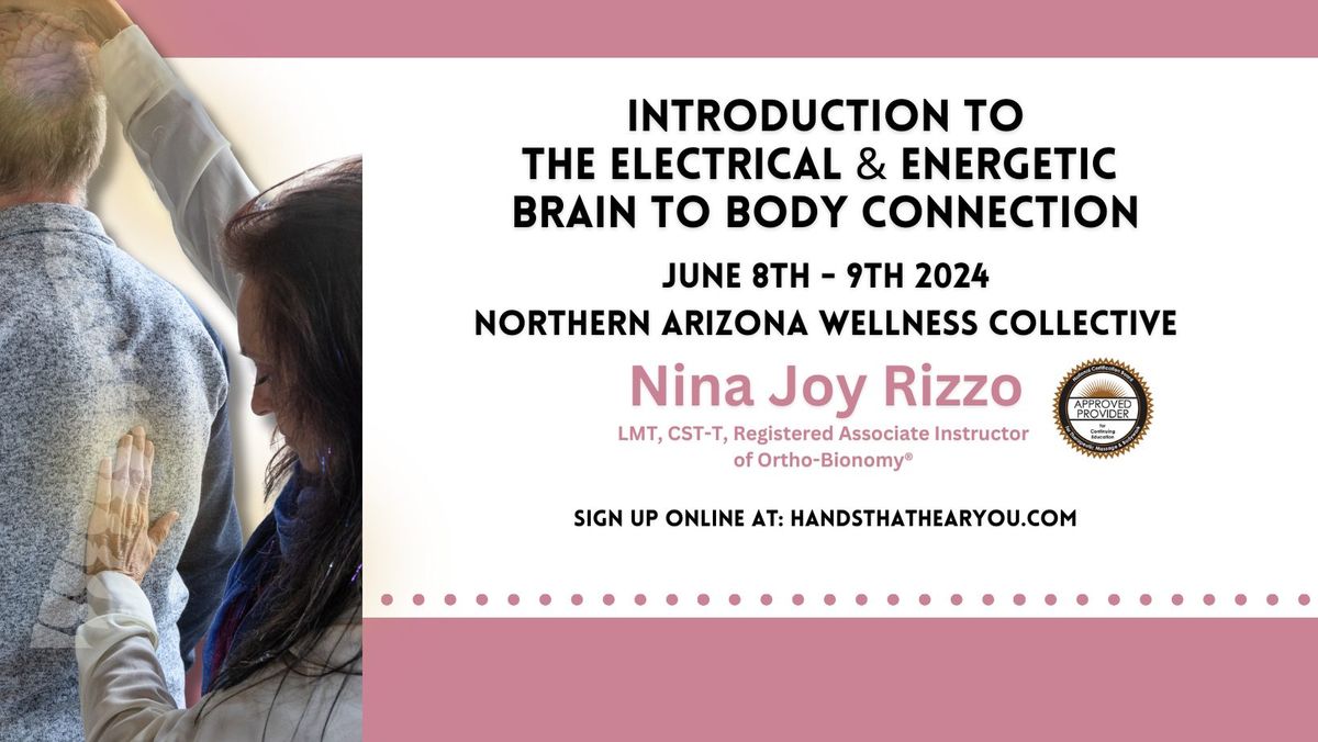 Introduction To The Electrical & Energetic Brain to Body Connection