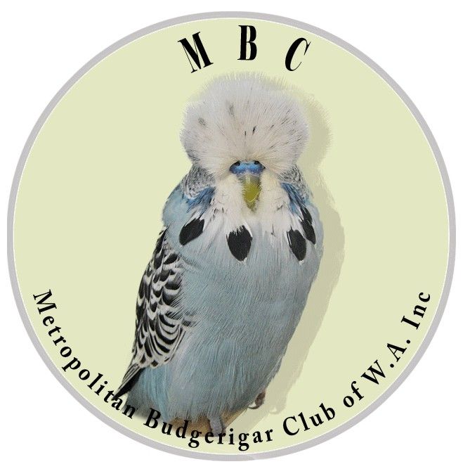 METROPOLITAN BUDGERIGAR CLUB OF WA (INC)