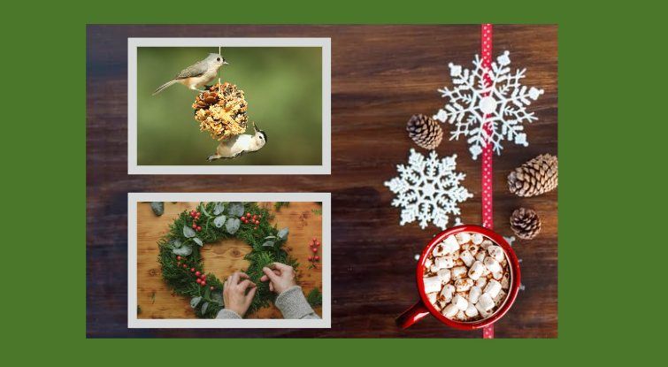 Winter Picnic, Wreath Making & Activities for Backyard Conservation