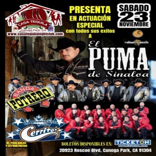 EL PUMA DE SINALOA, BANDA POTRERO & BANDA EL CERRITO