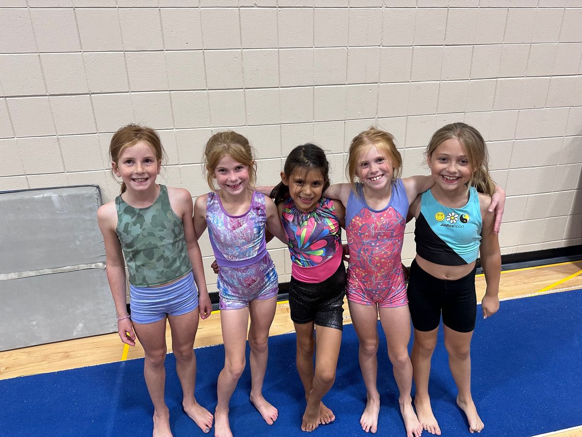 Lakeville Area Community Education - Open Gym, Ages 1-12