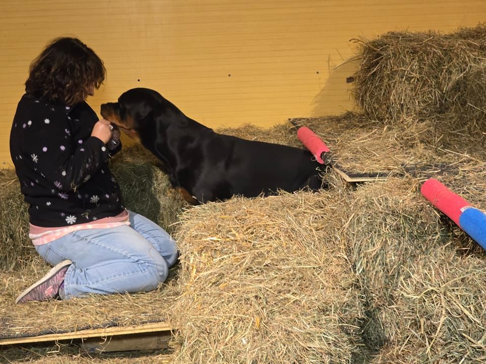 The Content Canine Enrichment Workshop! 