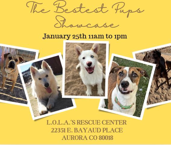 Best Pups Showcase