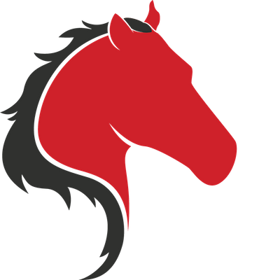 Regiment Securities