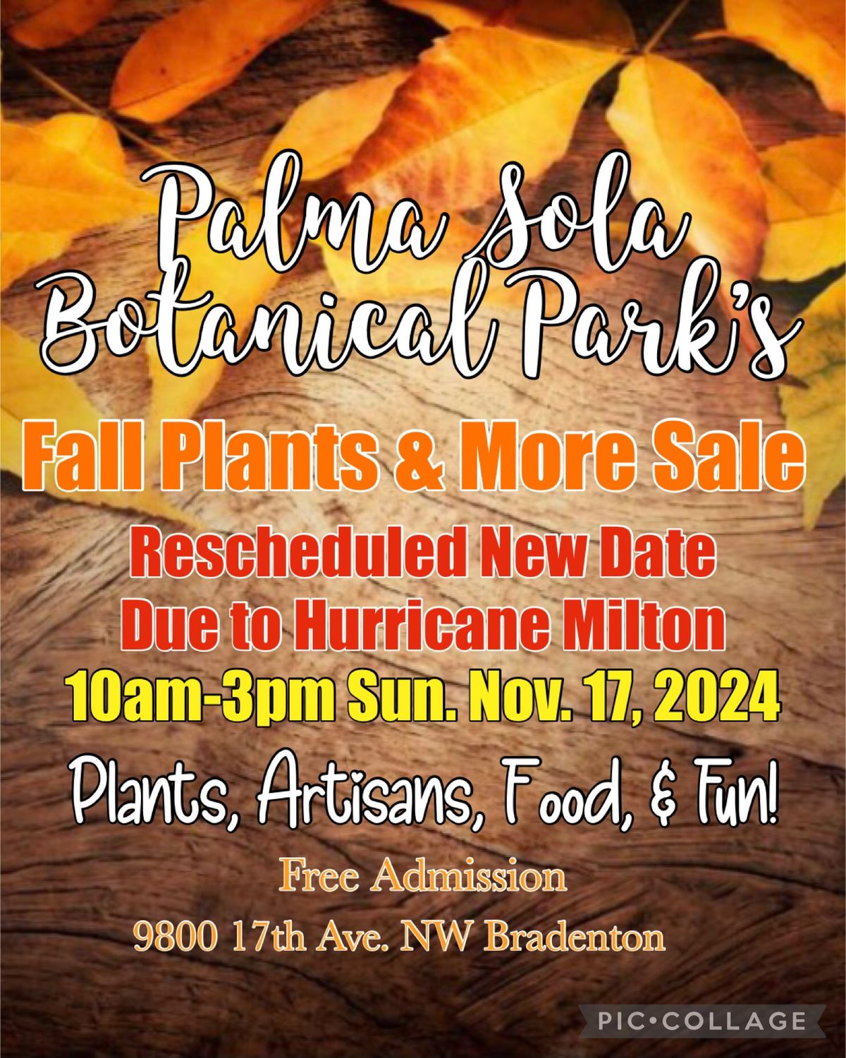 Fall Plants & More Sale