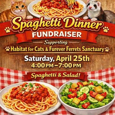 Furever Ferrets Sanctuary Inc. & Habitat for Cats