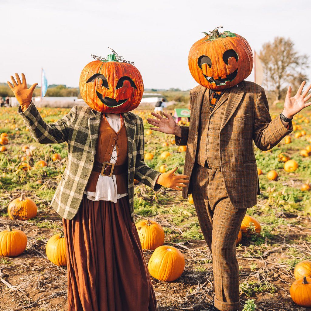 Avon Valley Pumpkin Patch