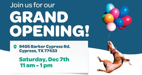 Livewell Animal Hospital of Cypress Grand Opening