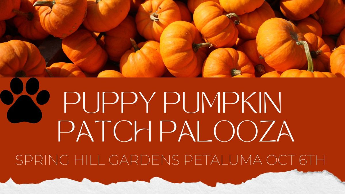 Puppy Pumpkin Patch Palooza