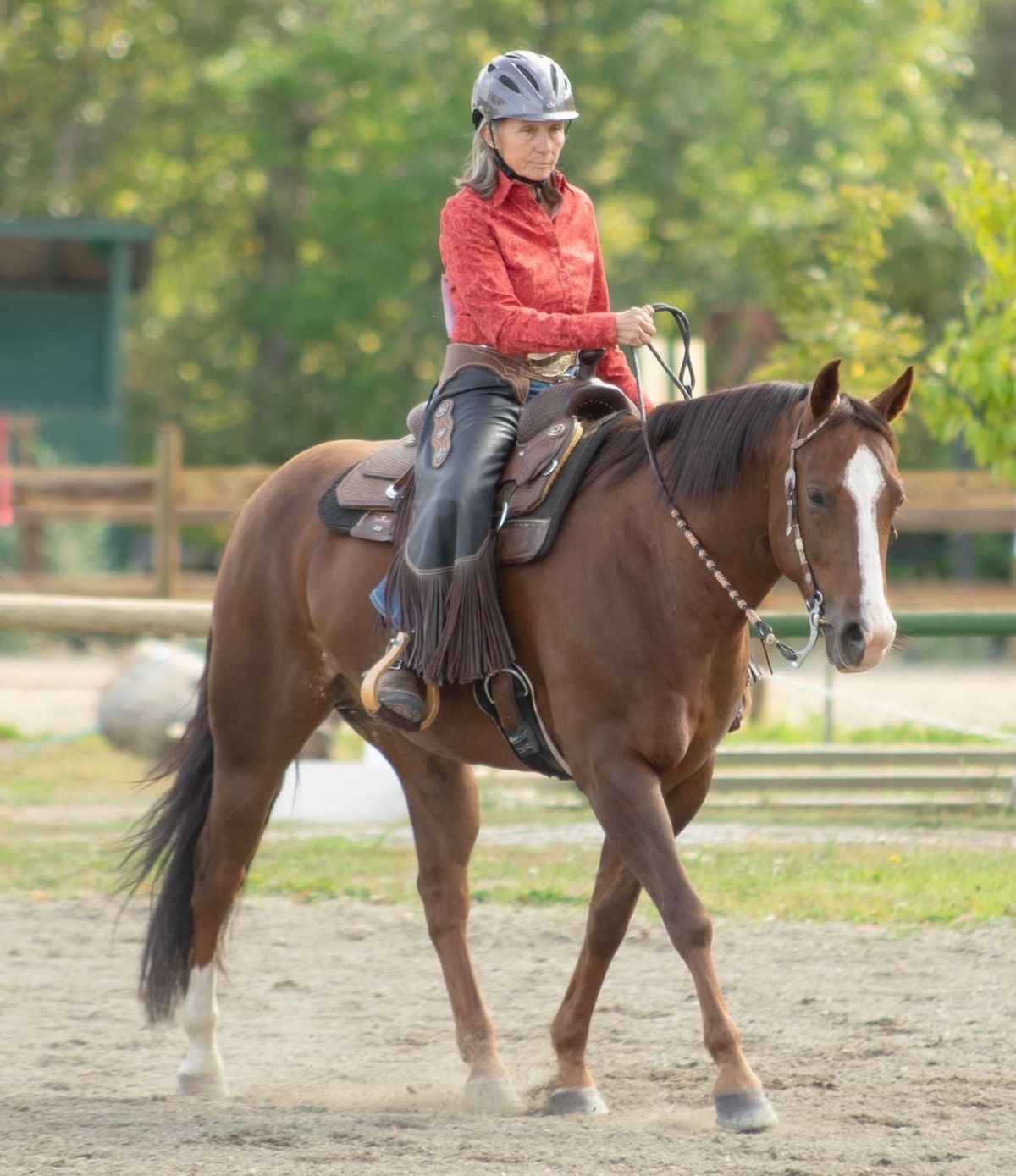 Wendy price ranch riding clinic 