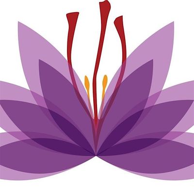 Saffron Academy Limited