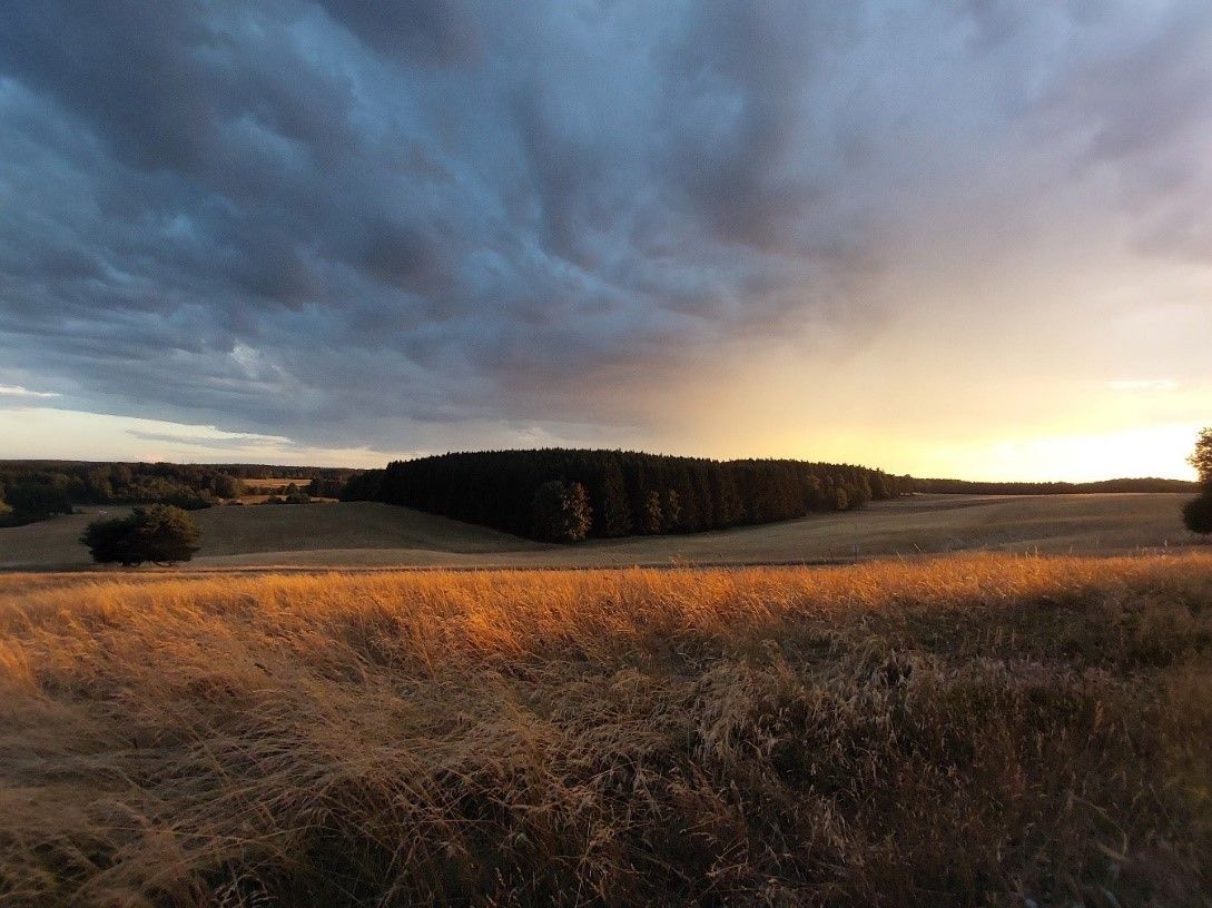 Wandern unter wei\u00df-blauem Himmel 2024: Artenreiches Ammerbachtal