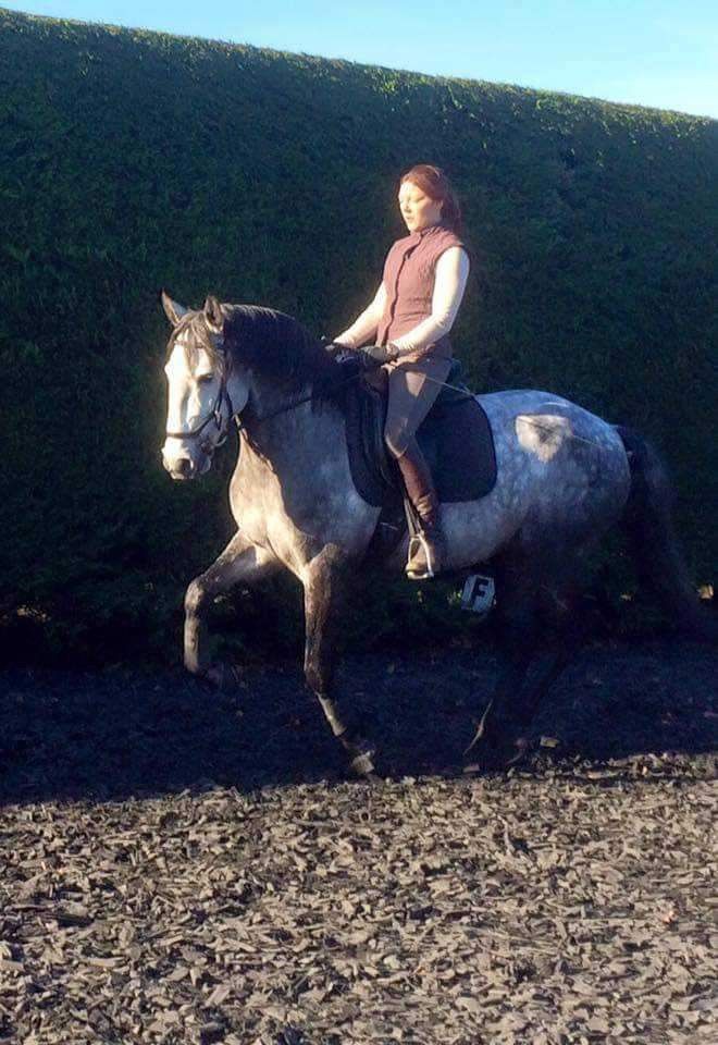 Sarah Reeve flatwork clinic 