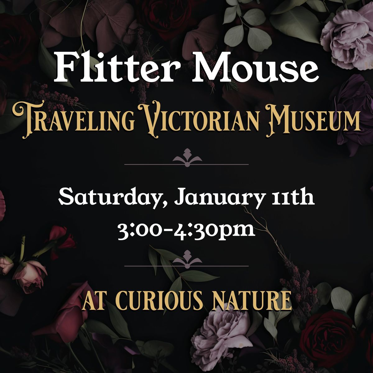 01\/11\/25 - Flitter Mouse Traveling Victorian Museum