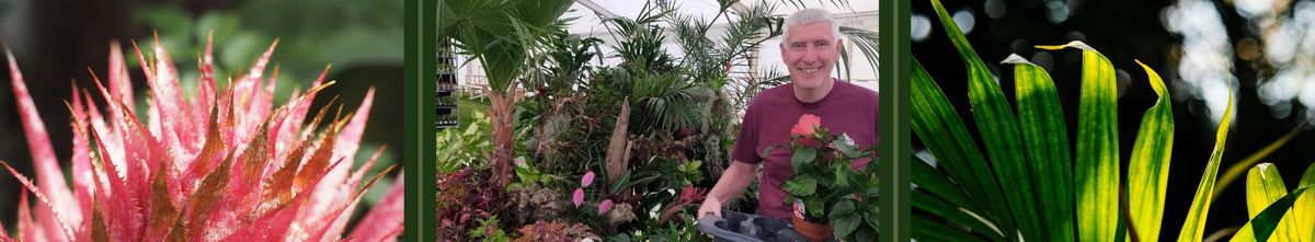 Meet the Palm House Gardener 