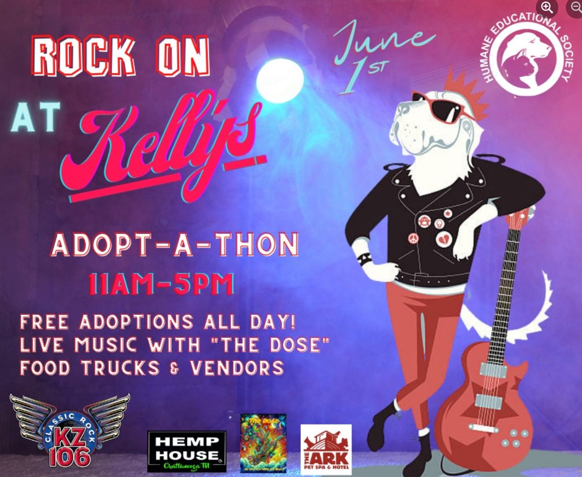 The Dose LIVE at the 3rd Annual Kelly's Adopt-a-Thon