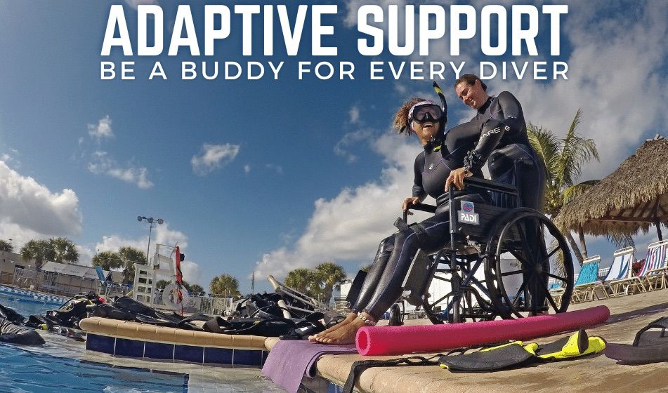 Adaptive Support Diver