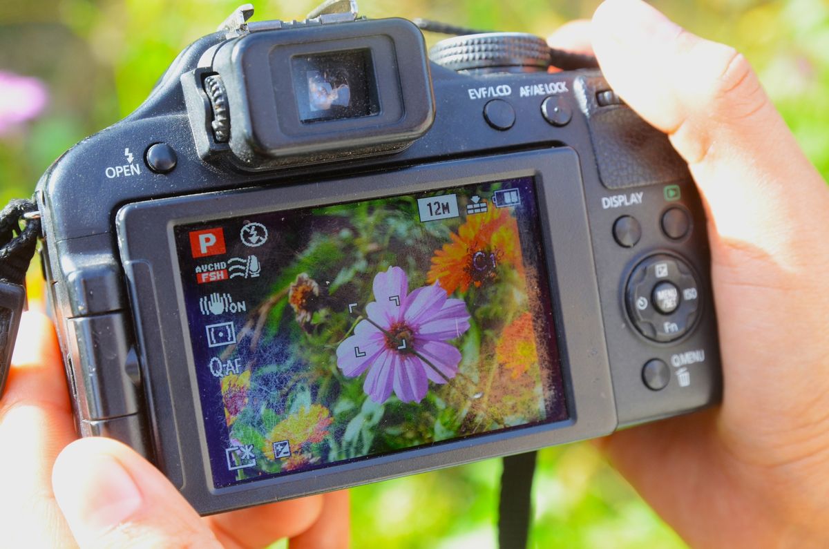 Workshop: Natur neu entdecken \u2013 Fotografie in der Natur