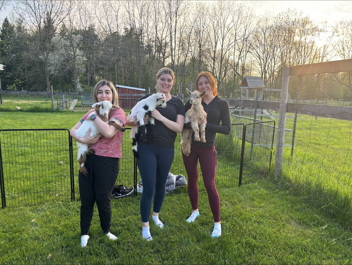 "Goat Yoga" at the Rock Chapel Ranch