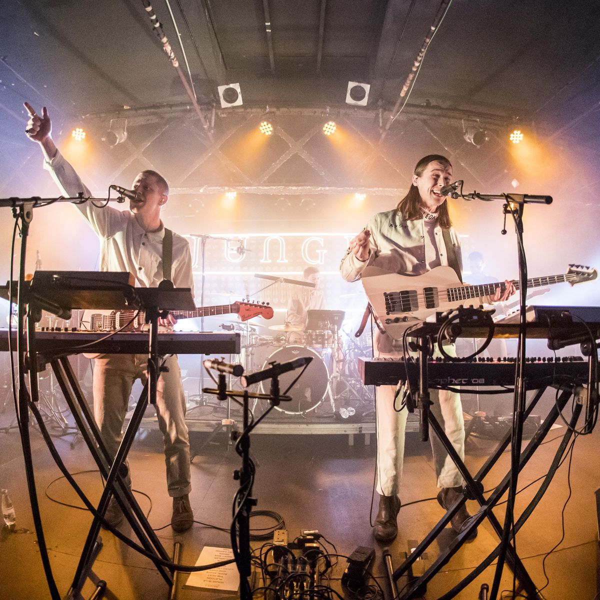 Jungle with Rio Kosta