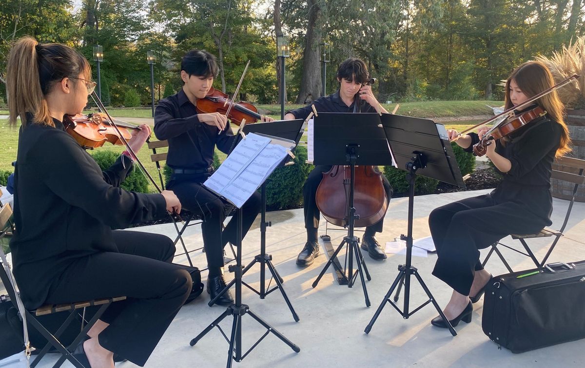 Galleries of Sound: A Performance by the Memphis Youth Symphony (November)