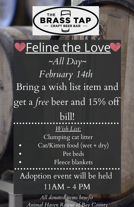 Feline The Love Fundraiser + Adoption Event, The Brass Tap Pier Park