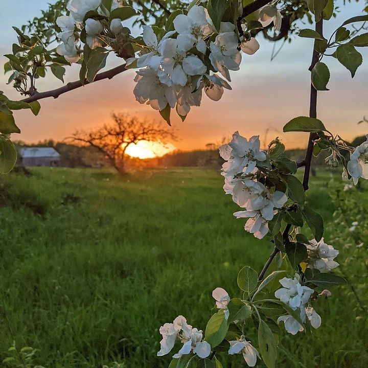 spring solstice meditation and hike (and craft)