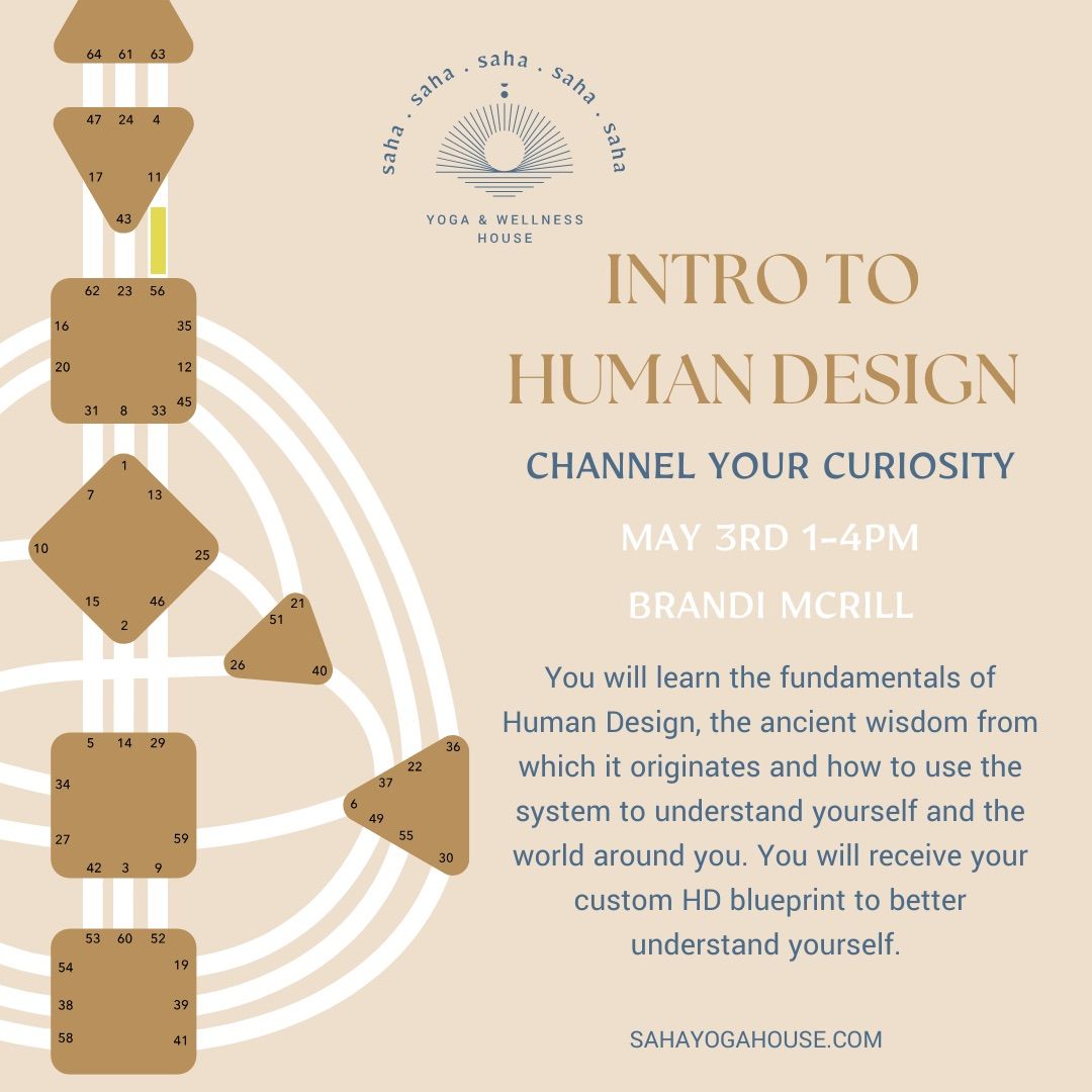 Human Design: Intro to Better Understand Who You Are 