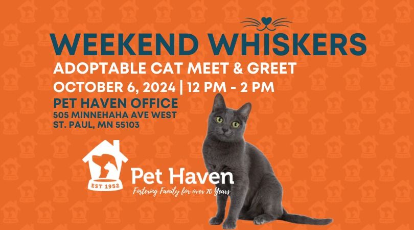 Weekend Whiskers! Adoptable Cat Meet!