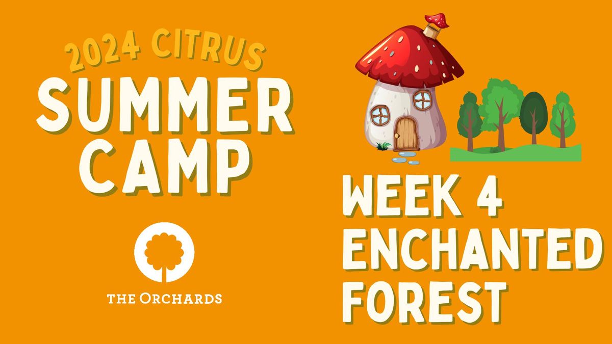 Summer Camp Week 4 \u2013 Enchanted Forest 