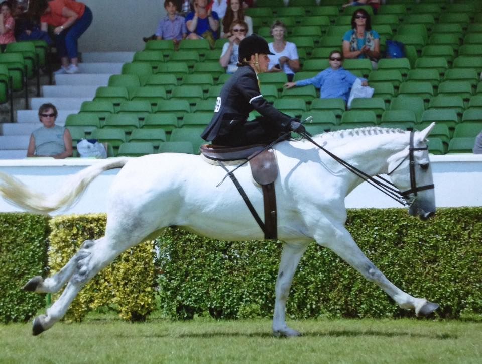 Side Saddle 'Have a Go' Session